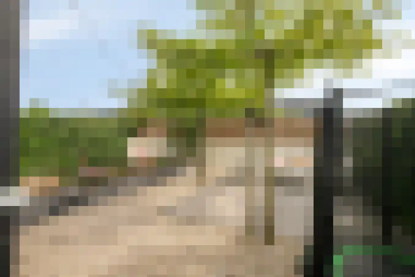 Dorsmolen 37 Zwolle thumbnail 36