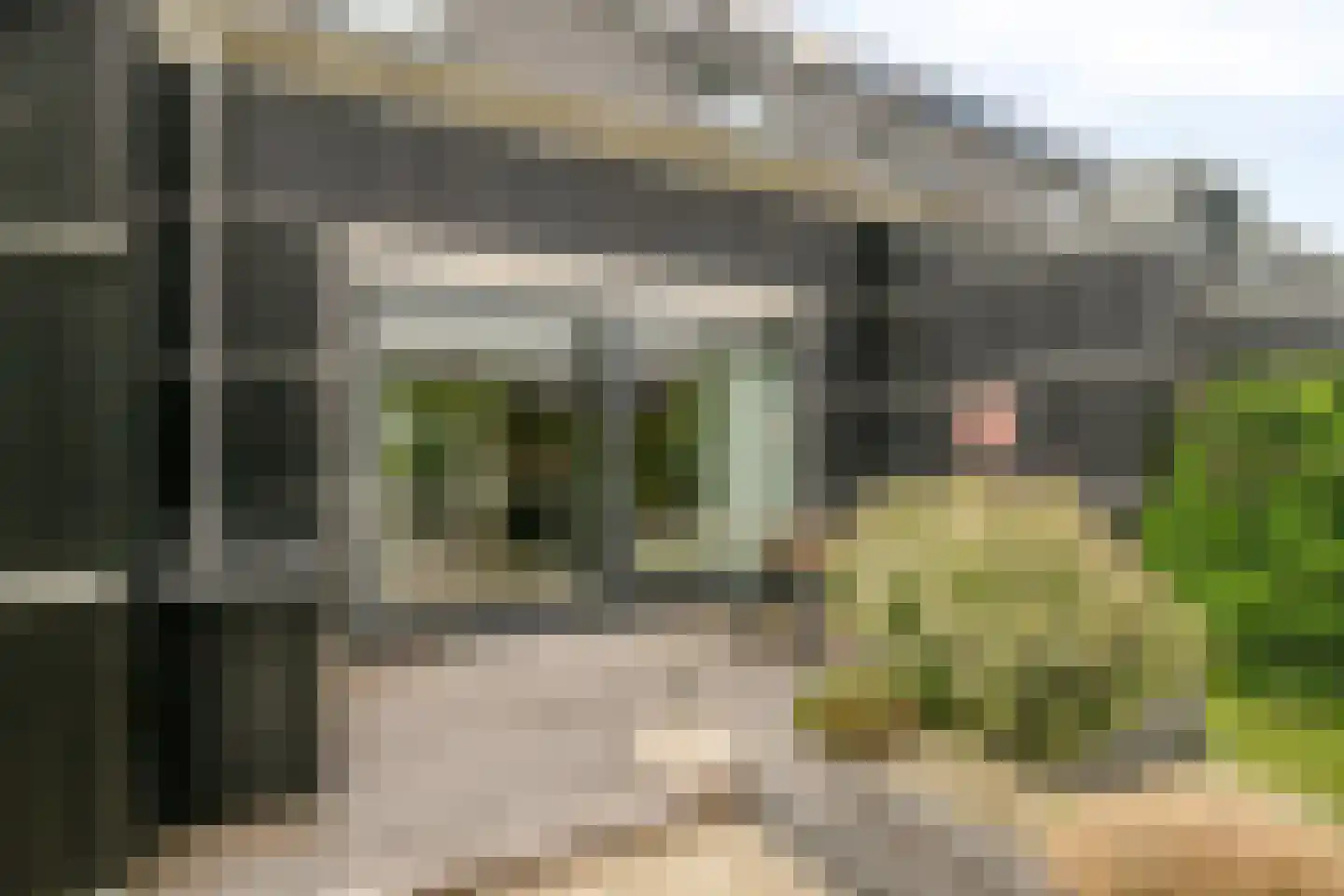 Dorsmolen 37 Zwolle thumbnail 37