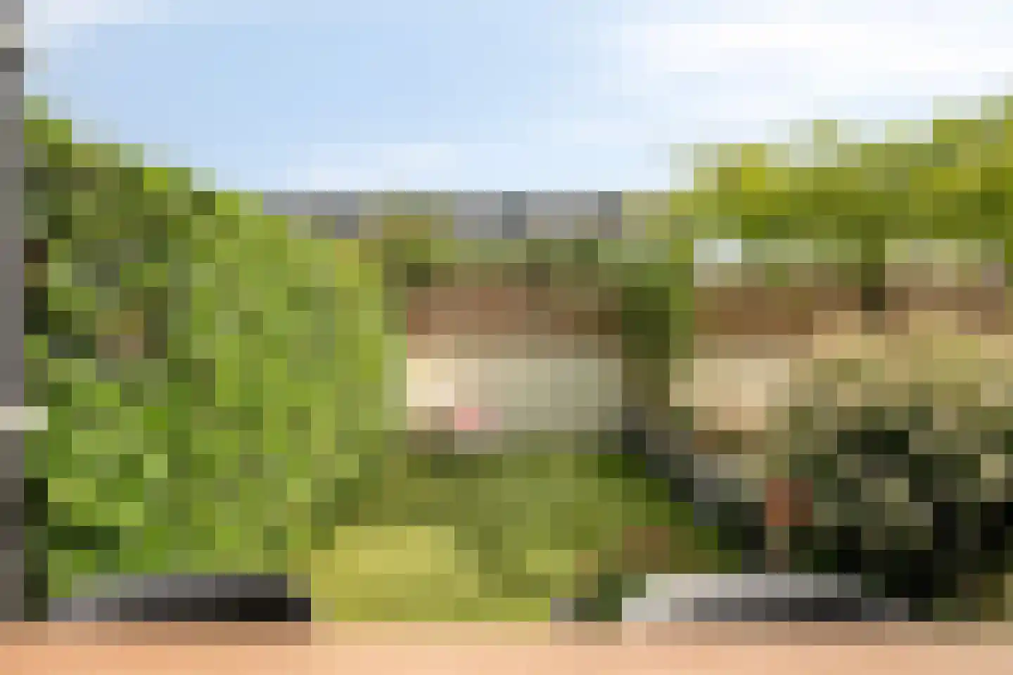 Dorsmolen 37 Zwolle thumbnail 41