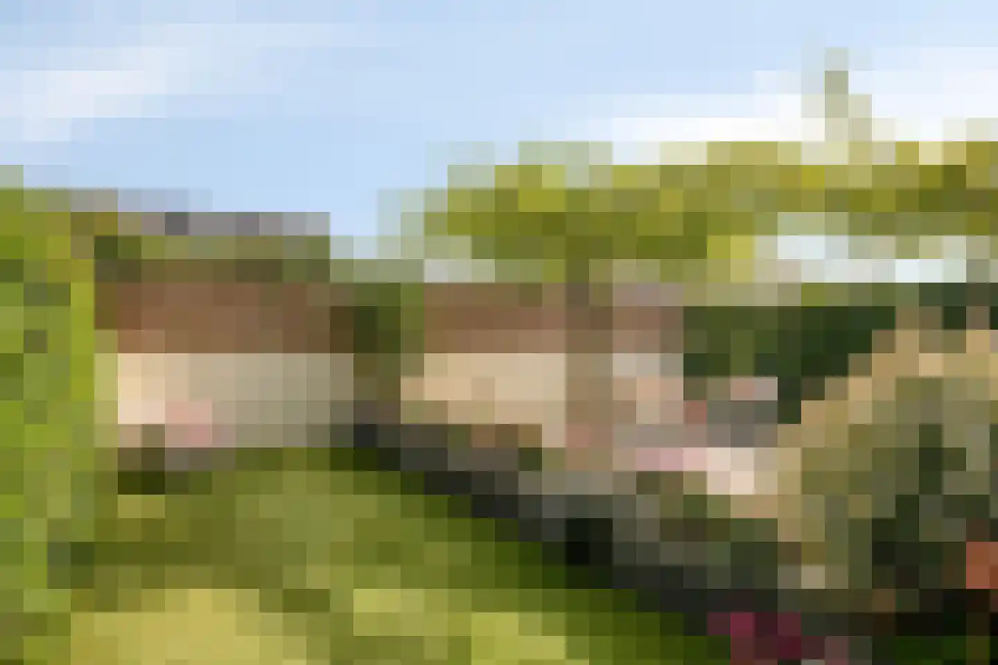 Dorsmolen 37 Zwolle thumbnail 43