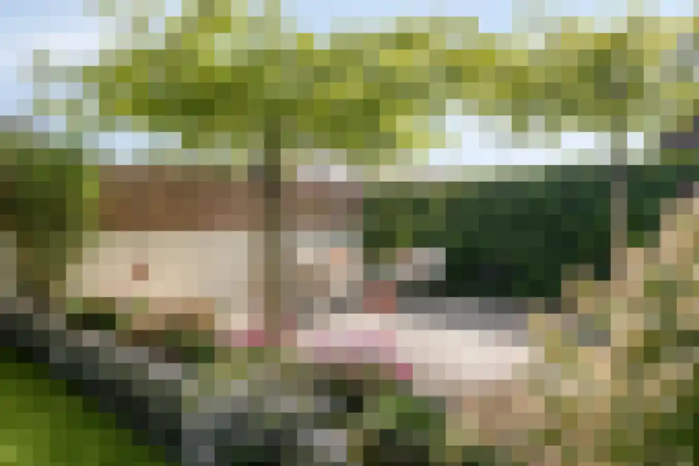 Dorsmolen 37 Zwolle thumbnail 44