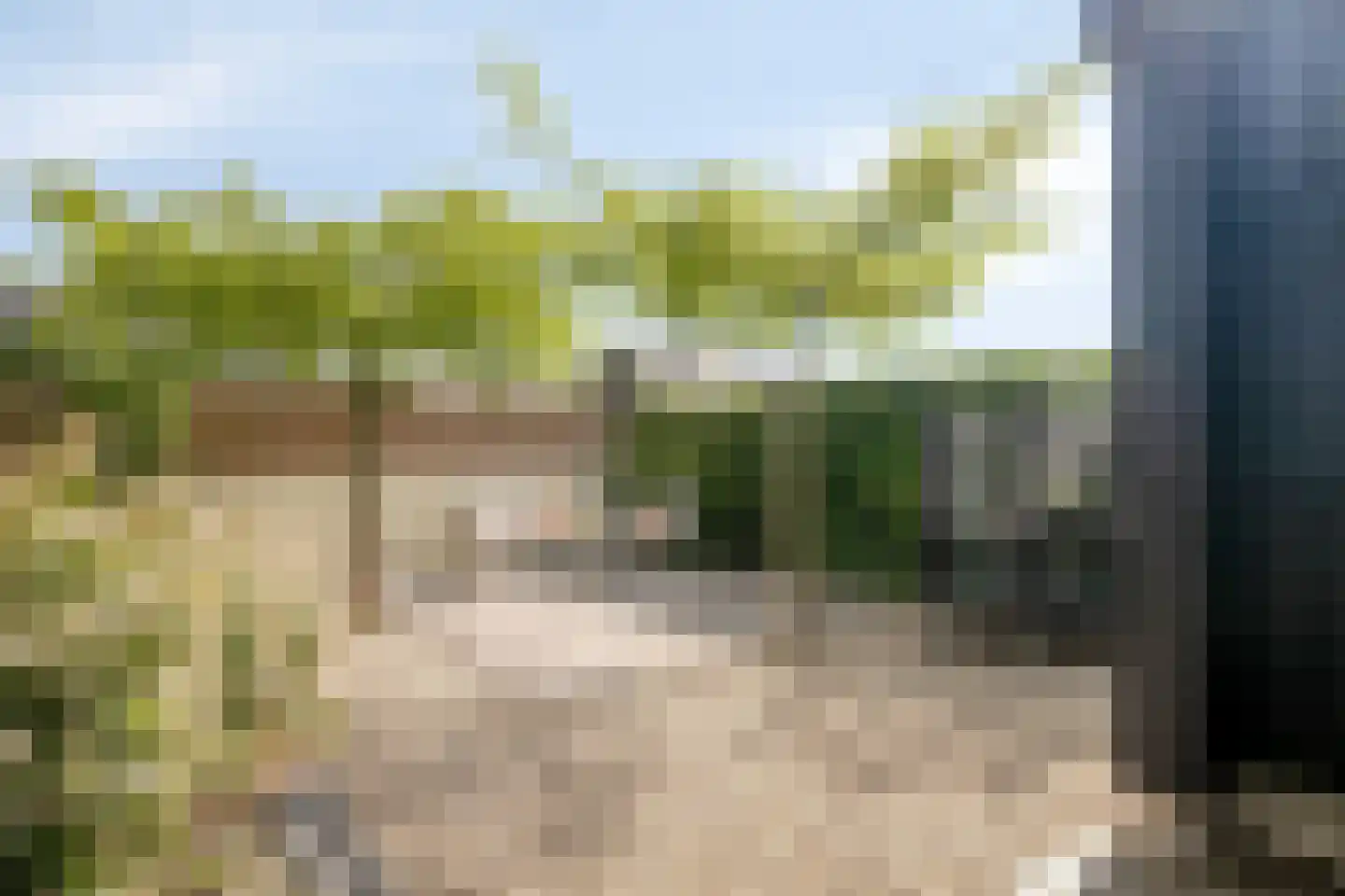 Dorsmolen 37 Zwolle thumbnail 5