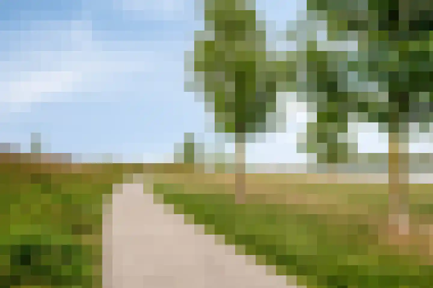 Dorsmolen 37 Zwolle thumbnail 51