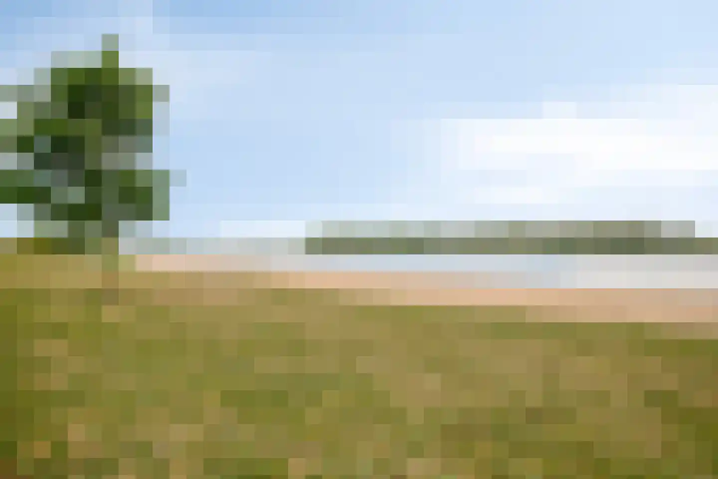 Dorsmolen 37 Zwolle thumbnail 54