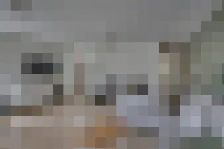 Dorsmolenlaan 13 Lochem thumbnail 12
