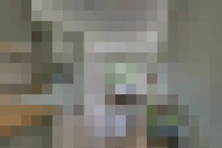 Dorsmolenlaan 13 Lochem thumbnail 13