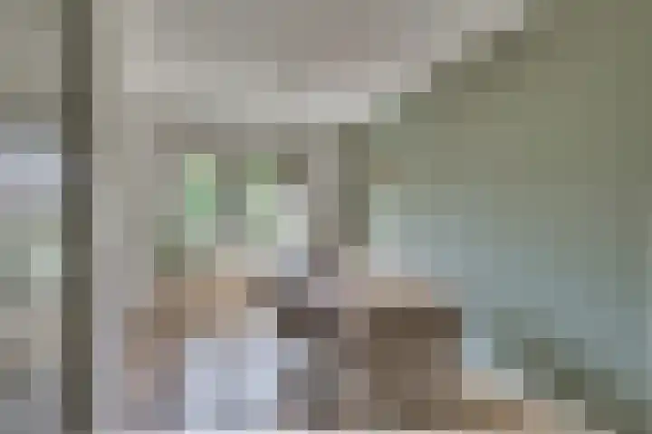 Dorsmolenlaan 13 Lochem thumbnail 14