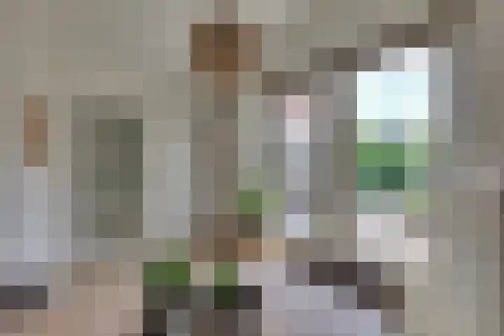 Dorsmolenlaan 13 Lochem thumbnail 17