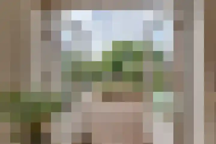 Dorsmolenlaan 13 Lochem thumbnail 18