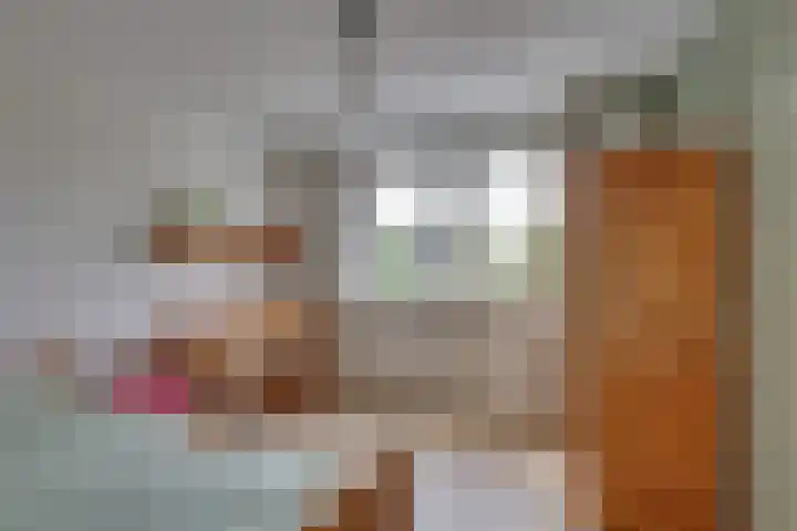 Dorsmolenlaan 13 Lochem thumbnail 24