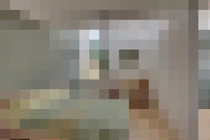 Dorsmolenlaan 13 Lochem thumbnail 26