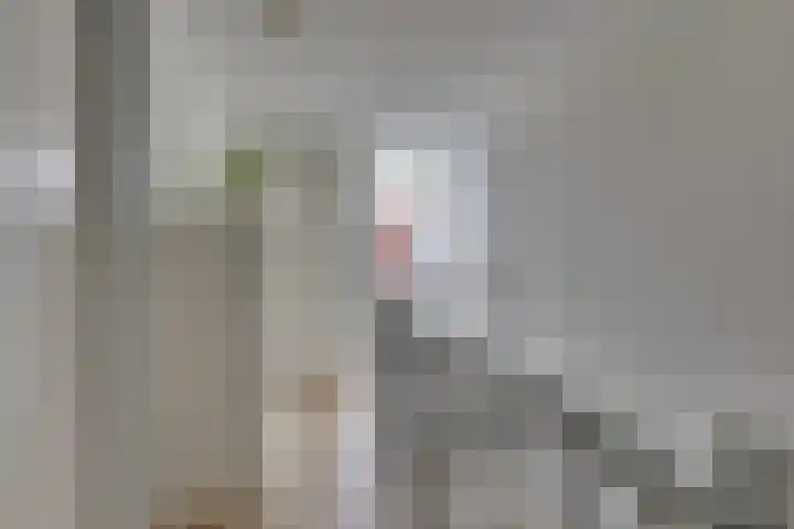 Dorsmolenlaan 13 Lochem thumbnail 31