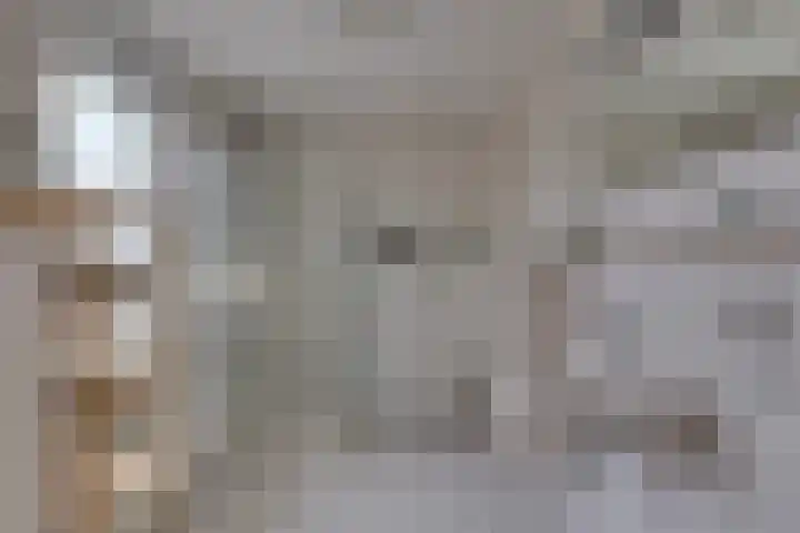 Dorsmolenlaan 13 Lochem thumbnail 32