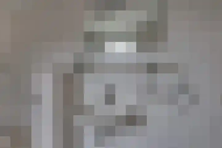 Dorsmolenlaan 13 Lochem thumbnail 33