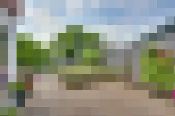 Dorsmolenlaan 13 Lochem thumbnail 34