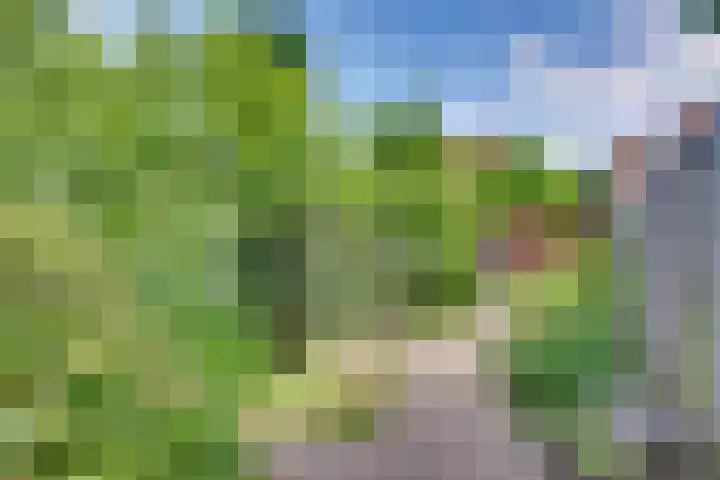 Dorsmolenlaan 13 Lochem thumbnail 36
