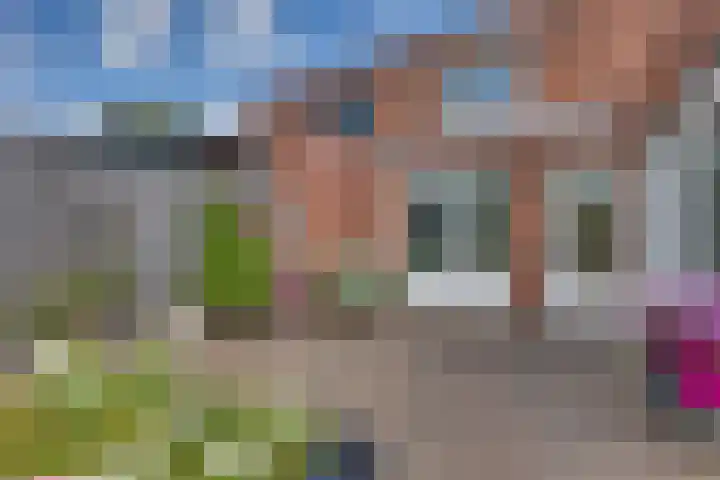 Dorsmolenlaan 13 Lochem thumbnail 39