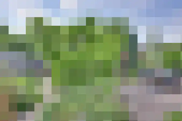 Dorsmolenlaan 13 Lochem thumbnail 4