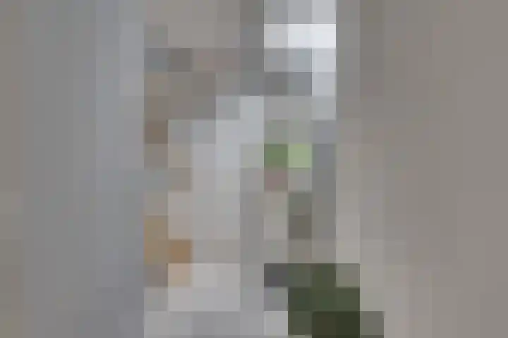 Dorsmolenlaan 13 Lochem thumbnail 7