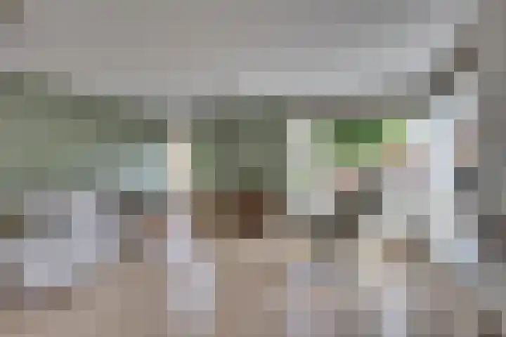 Dorsmolenlaan 13 Lochem thumbnail 8