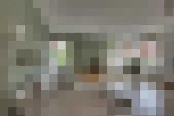 Dorsmolenlaan 13 Lochem thumbnail 9