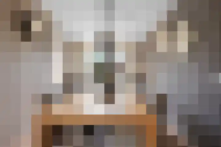 Dorsstok 17 Erica thumbnail 13