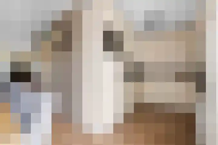 Dorsstok 17 Erica thumbnail 15