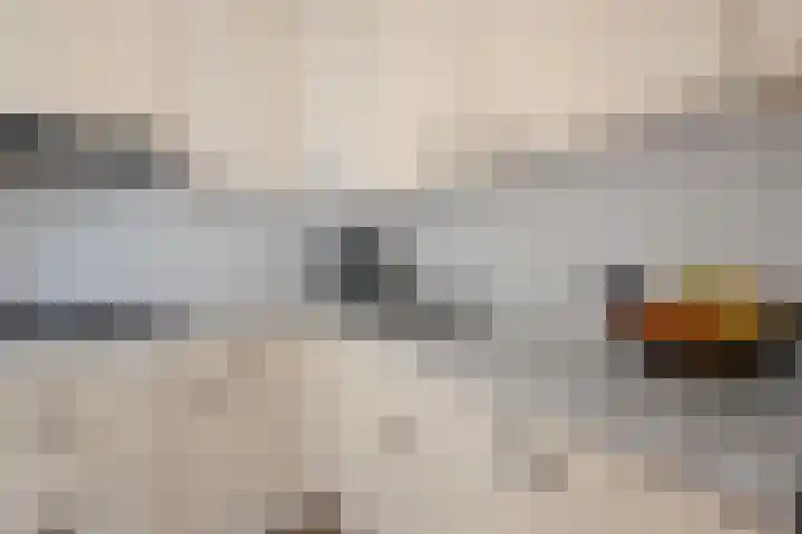 Dorsstok 17 Erica thumbnail 17