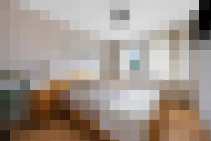 Dorsstok 17 Erica thumbnail 21