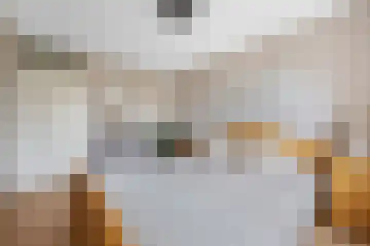 Dorsstok 17 Erica thumbnail 22