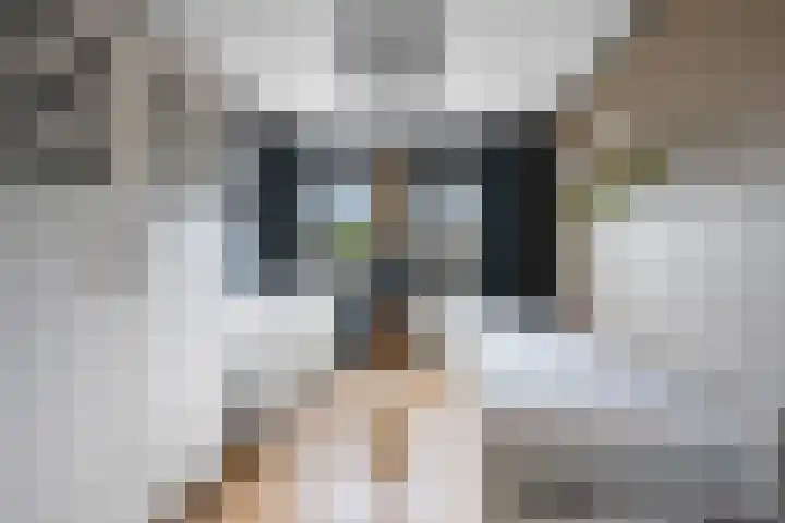 Dorsstok 17 Erica thumbnail 23