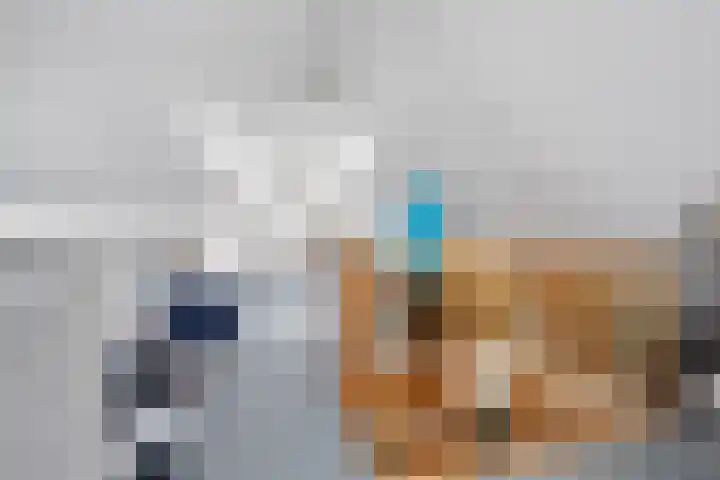 Dorsstok 17 Erica thumbnail 30