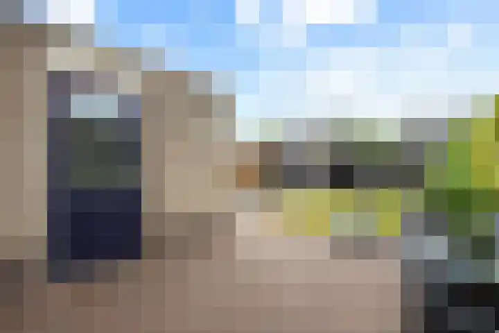 Dorsstok 17 Erica thumbnail 32
