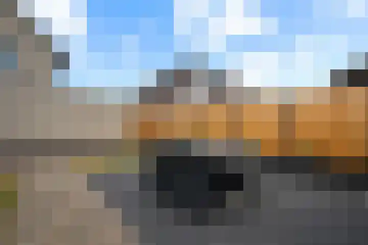 Dorsstok 17 Erica thumbnail 33