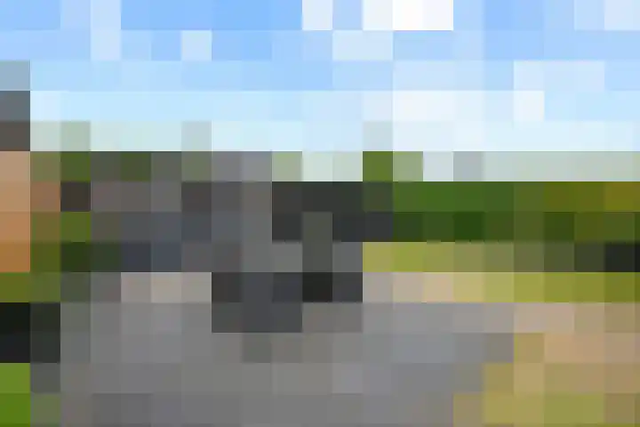 Dorsstok 17 Erica thumbnail 35