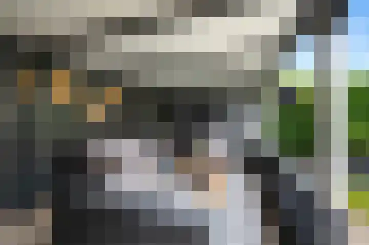 Dorsstok 17 Erica thumbnail 36