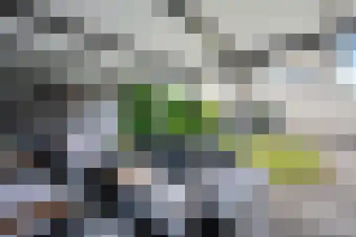 Dorsstok 17 Erica thumbnail 37