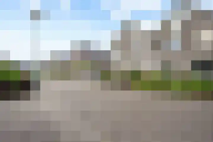 Dorsstok 17 Erica thumbnail 38