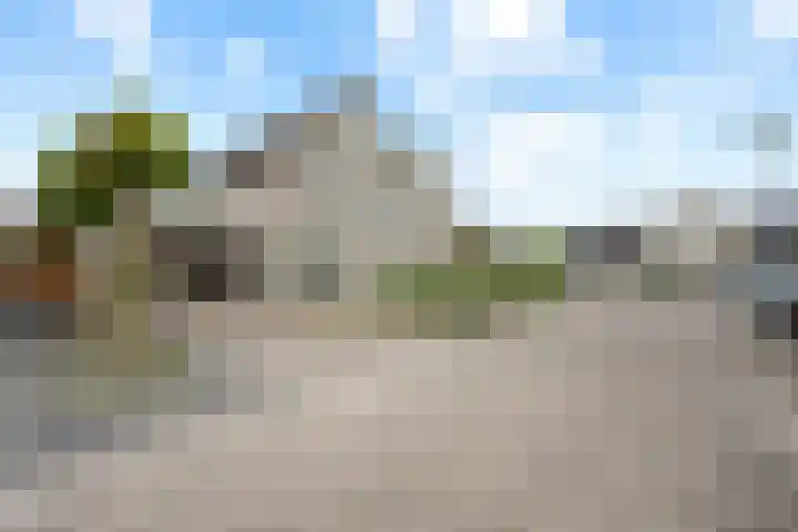 Dorsstok 17 Erica thumbnail 39