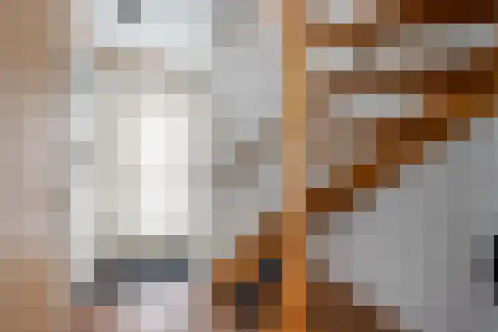Dorsstok 17 Erica thumbnail 4