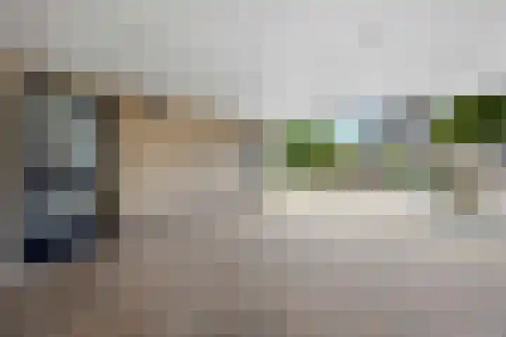 Dorsstok 17 Erica thumbnail 41