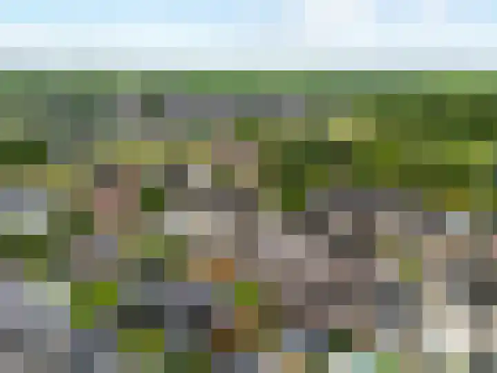 Dorsstok 17 Erica thumbnail 42