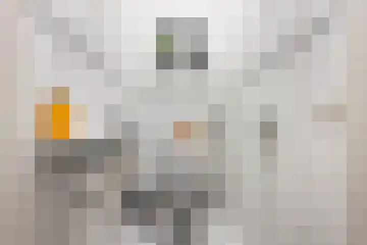 Dorsstok 17 Erica thumbnail 6