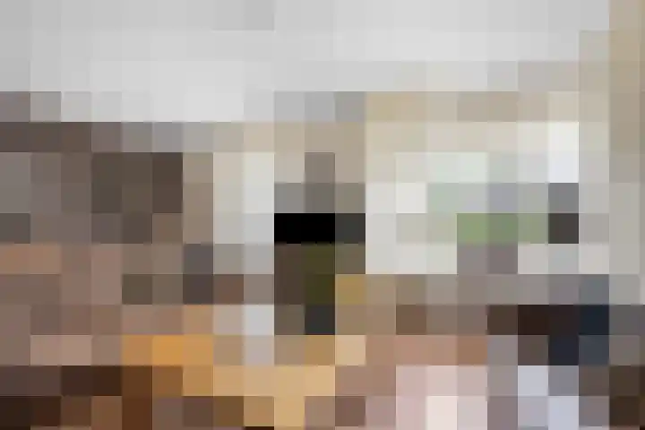 Dorsstok 17 Erica thumbnail 8