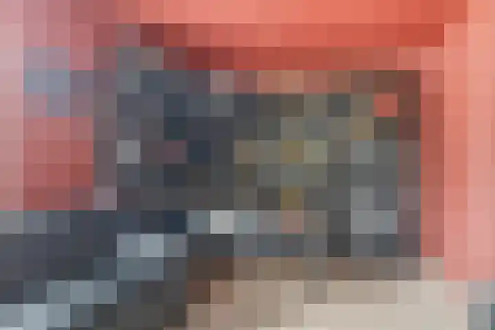 Dorsstok 22 Erica thumbnail 13