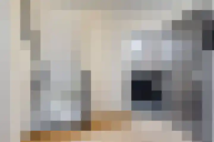 Dorsstok 22 Erica thumbnail 15