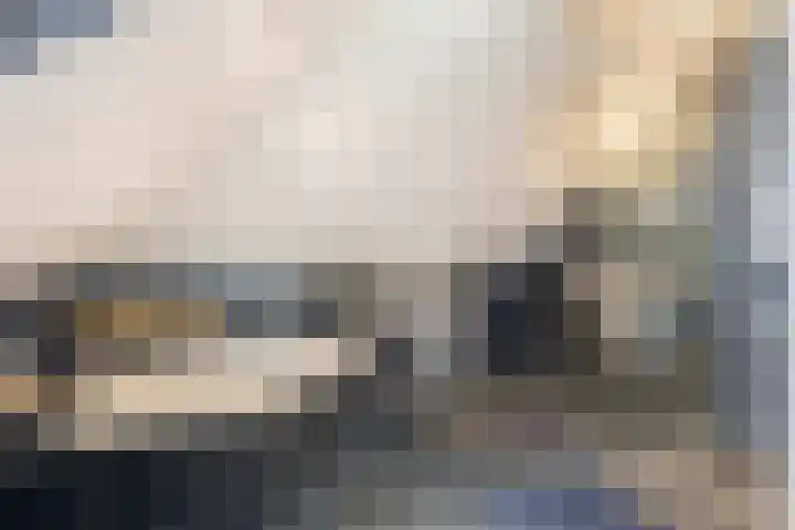 Dorsstok 22 Erica thumbnail 16