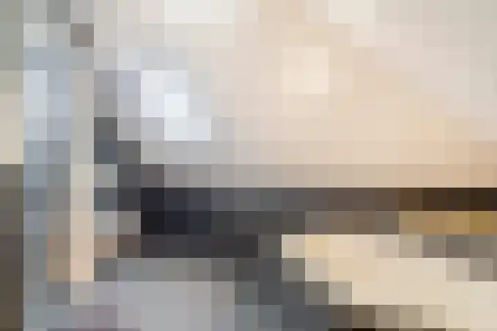 Dorsstok 22 Erica thumbnail 18