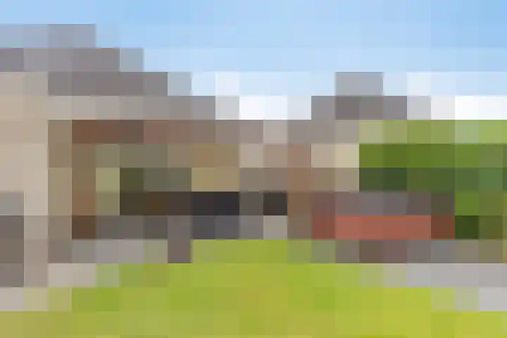 Dorsstok 22 Erica thumbnail 27