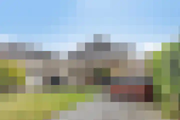 Dorsstok 22 Erica thumbnail 28